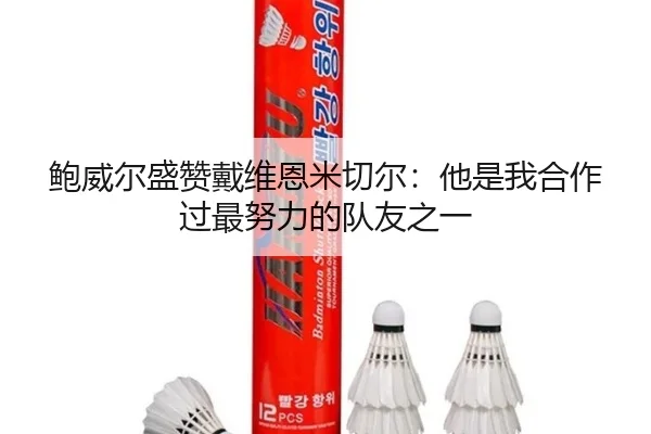 鲍威尔盛赞戴维恩米切尔：他是我合作过最努力的队友之一 - kaiyun